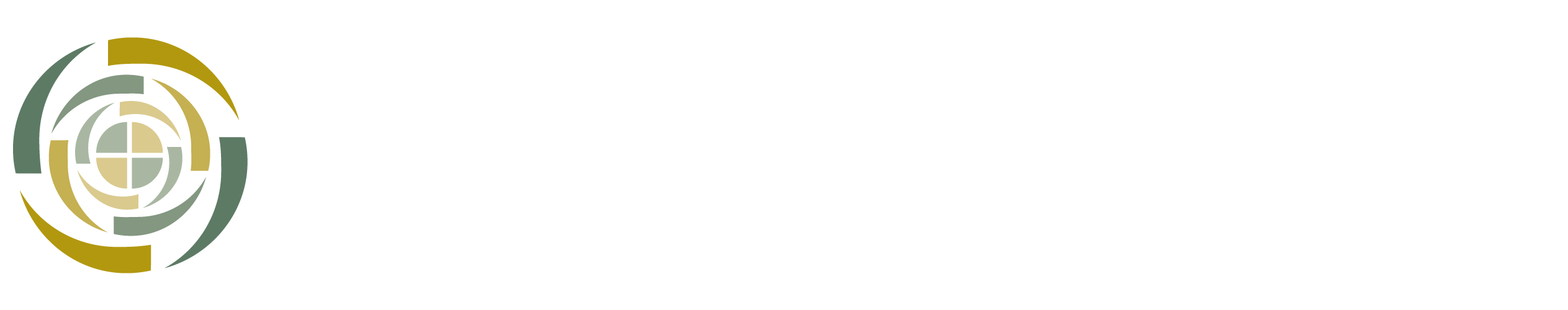 EL-GS-IR